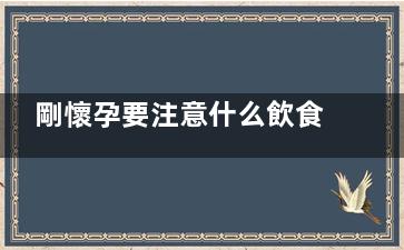 剛懷孕要注意什么飲食 懷孕初期的飲食注意事項(xiàng)(懷孕初期需要注意什么事項(xiàng))